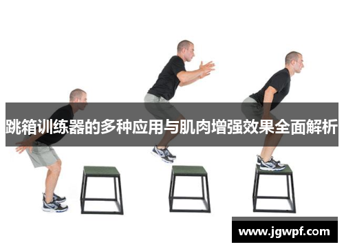 跳箱训练器的多种应用与肌肉增强效果全面解析